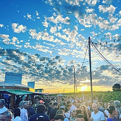 Hochheimer Weinfest 2024: Ein Wochenende voller Musik, Kunst und Wein