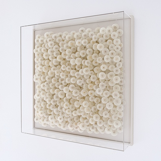 Vernissage Sommerausstellung