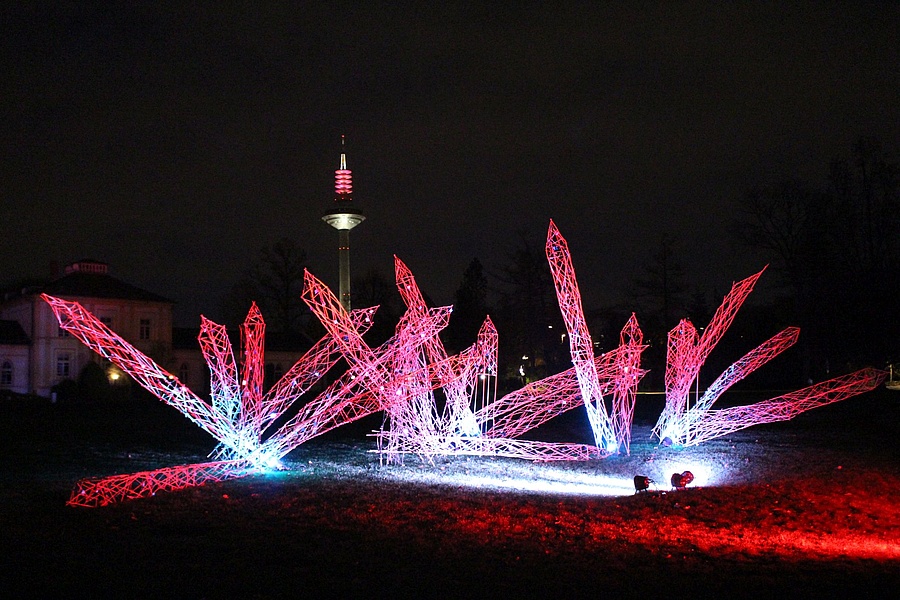 Entdecke die Veranstaltung Winterlichter im Palmengarten in Frankfurt am Main FrankfurtTipp