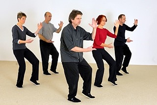 Tai Chi Chuan and Chi Gong Introduction Course
