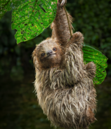 Costa Rica im Main-Taunus-Zentrum