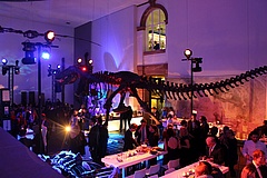 With the Senckenberg Night excellent into the anniversary year