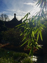 Reopening of the Chinese Garden - The water pavilion comes back from China