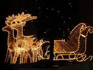 Musical Sleigh Ride - a pre-Christmas concert
