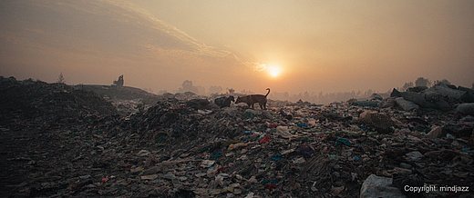 Dokufilm + Diskussion: PLASTIC FANTASTIC