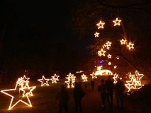 Christmas Garden Frankfurt: Ein Wunderland aus 1,5 Millionen Lichtern
