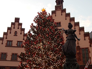 Frankfurter Weihnachtsbaum leuchtet - Bertl erstrahlt auf dem Römerberg