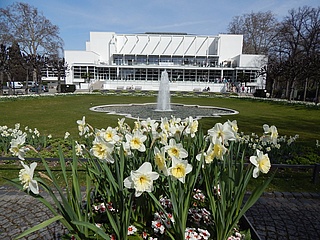 'Frankfurter Erklärung': City leader wants zoo and Palmengarten to open soon