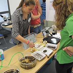 Open Day at the Senckenberg Biodiversity and Climate Research Centre