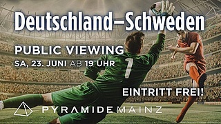 World Cup Public Viewing / Ger-Swe