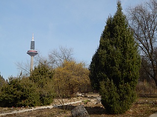 Final event in the Botanical Garden around the apple