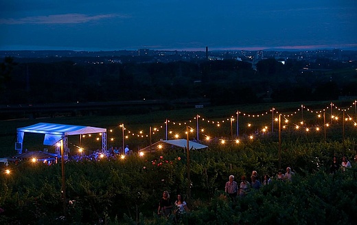 Hochheimer Weinfest