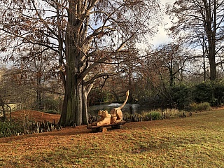 Frankfurt Zoo displays wooden sculptures by design students