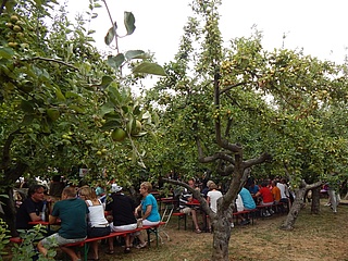 Der Obsthof am Steinberg lädt zu den Familientagen am 28. Juni und 2. August