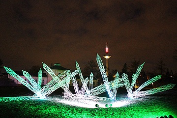 No Winter Lights at the Palmengarten this year