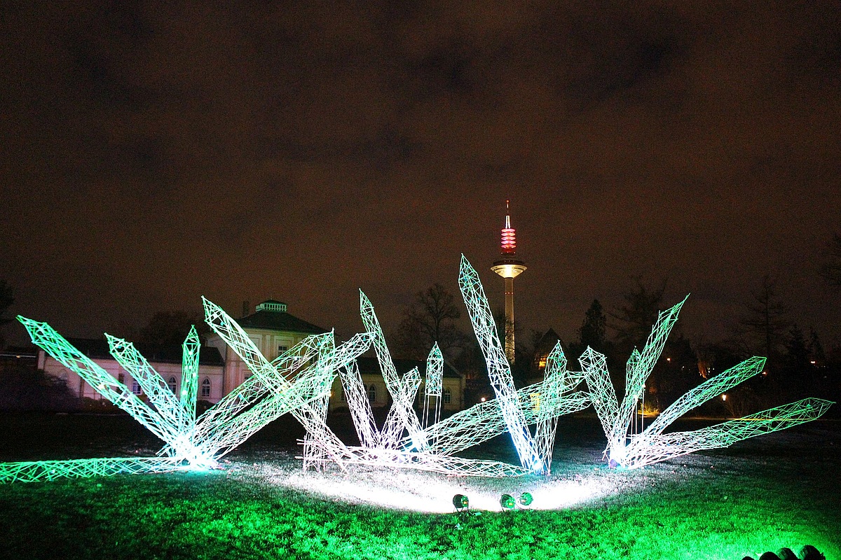 Palmengarten frankfurt lichterfest Rosenschau im