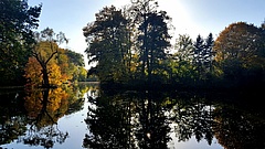 The other day at the Nidda - an autumn trip