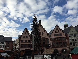 Frankfurts Weihnachtsbaum hat einen Stern