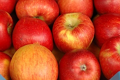 Die Sache mit dem Apfel – und 5 traditionsreiche Apfelwein-Kneipen