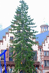 Oh you beautiful spruce - Does the Christmas tree have to be beautiful?