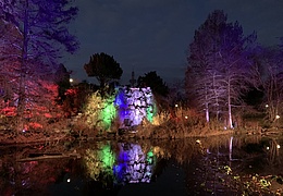 Winterlichter im Palmengarten