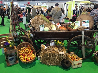 Land &amp; enjoyment turns Messe Frankfurt into Hesse's largest farm