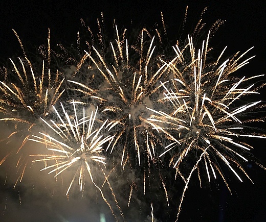 30 PLUS Silvesterparty im Zoo-Gesellschaftshaus