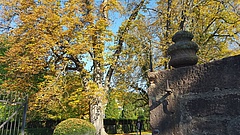Fünf Gründe, warum der Sommer jetzt in der Stadt erst jetzt richtig Spaß macht