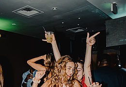 Die Mega Single Party
