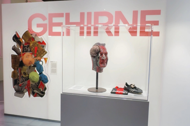'Gehirne' im Senckenberg Museum: Charly Körbel und die Geheimnisse des Gehirns von Menschen und Tieren