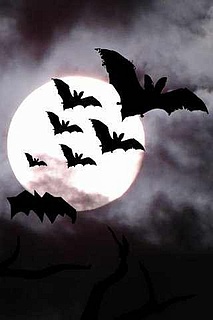 Biting Bats - The Clubkeller Halloween Party!
