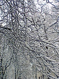 Wintertour de Taunus