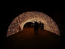 Christmas Garden Frankfurt: Ein Wunderland aus 1,5 Millionen Lichtern