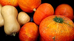 So macht November Spaß