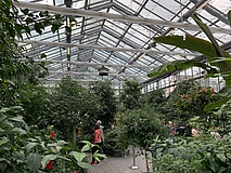 Blüten- und Schmetterlingshaus im Palmengarten ist Publikumsmagnet