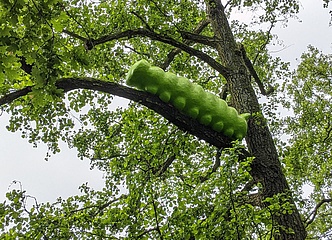 Funny art in the GrünGürtel: The fat caterpillar is back!