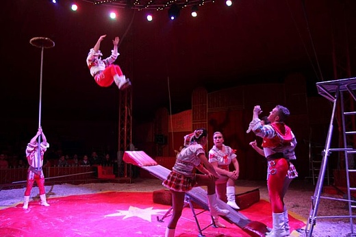 Wiesbaden Christmas Circus