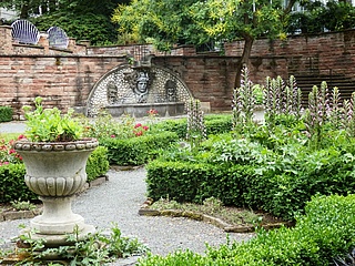 Wilder Sonntag - Wasserleben in den Wallanlagen