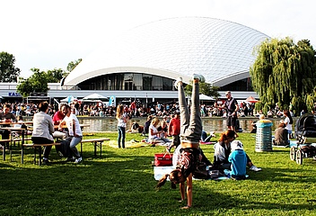 FOOD TRUCK FRIDAY with great specials at the HIGH SUMMER EDITION