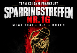 Sparringstreffen NO 16 Muay Thai--K-1--Boxen