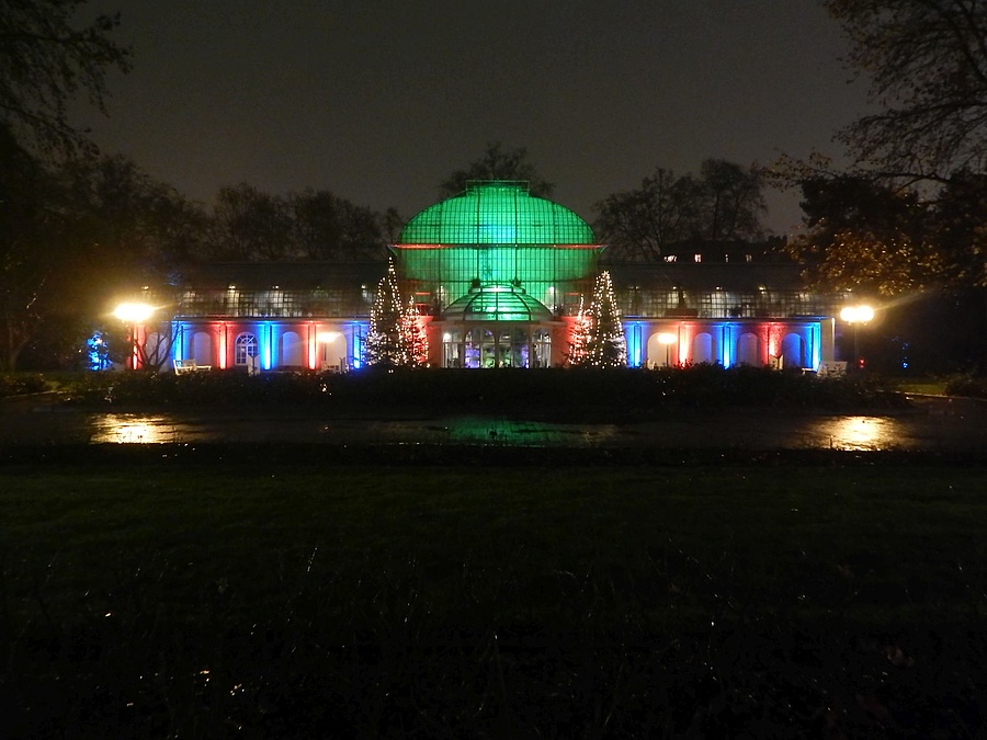 Entdecke Die Veranstaltung Winterlichter In Frankfurt Am Main