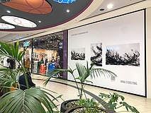 Skyline Plaza Frankfurt bringt zeitgenössische Kunst in den öffentlichen Raum