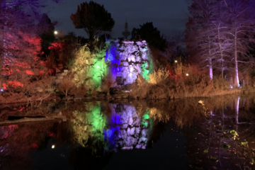 Besucherrekord bei Winterlichtern im Palmengarten