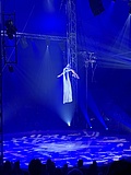 Der Great Christmas Circus Frankfurt sorgt endlich wieder für magische Momente