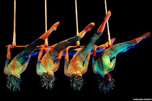 Cirque du Soleil - Amaluna