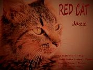 Red Cat - Jazz
