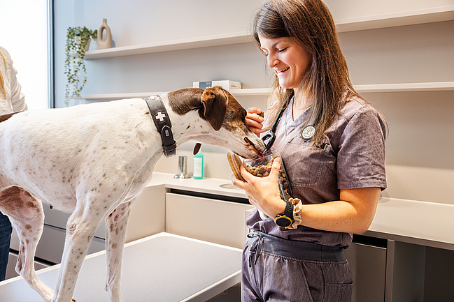 Neueröffnung: filu Tierarztpraxis