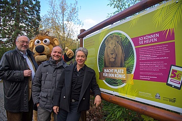 Zoo stellt Spenden-Aktion zur Erweiterung der Löwen-Außenanlage vor