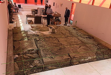 Neue Senckenberg-Ausstellung: Eine Dino-Ausgrabungsstätte mitten in Frankfurt