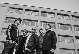 NOTASIS